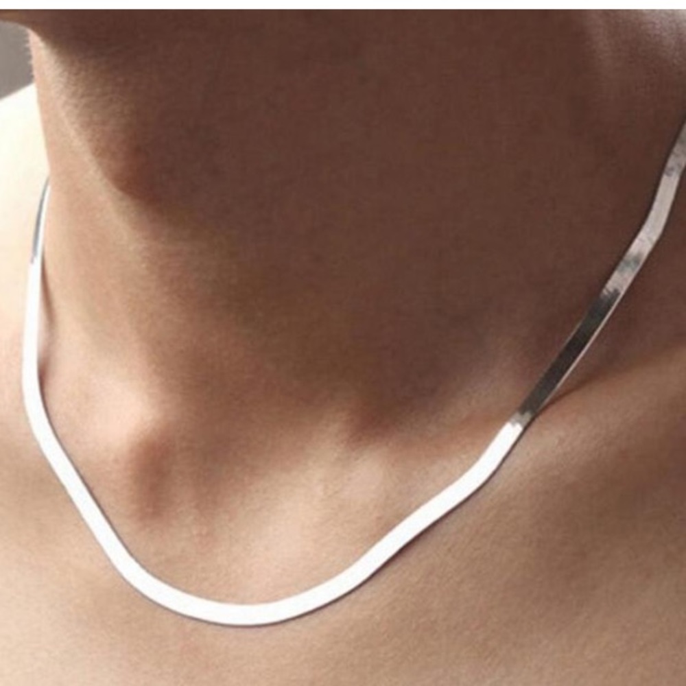 NWOT Flat Snake sterling silver Chain